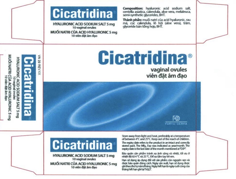 Cicatridia